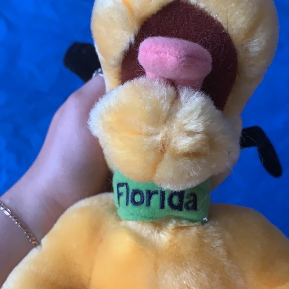 Disney Florida Pluto plush 16” - Picture 4 of 5